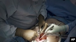 Các bác sĩ phẫu thuật tại Langone Health thuộc trường đại học New York chuẩn bị ghép thận của một con lợn cho người đàn ông chết não vào ngày 14/7/2023. 
