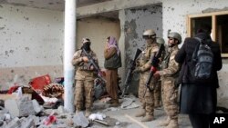 افغانستان ظالبان داعش جنگجو