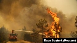 ترکی کے جنوبی ساحلی علاقے کے جنگلات میں لگنے والی آگ سے 8 افراد ہلاک ہوچکے ہیں۔