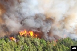 انٹاریو کے نیشنل پارک میں بھڑکنے والی آگ کا ایک منظر۔ 4 جون 2023